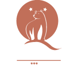 Ours Blanc Centre Toulouse