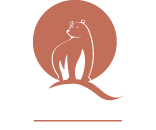 Ours Blanc Toulouse