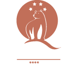 Ours Blanc Wilson Toulouse
