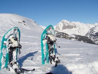 raquettes a neige bleu